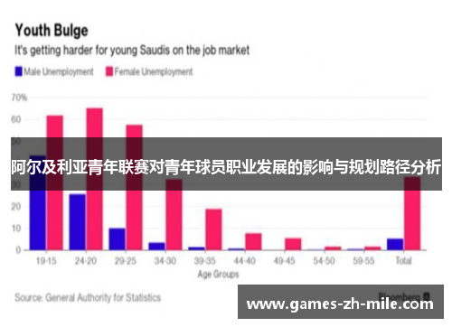阿尔及利亚青年联赛对青年球员职业发展的影响与规划路径分析 阿尔及利亚青年联赛对青年球员职业发展的影响与规划路径分析