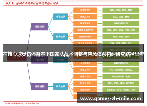 在核心球员伤停背景下国家队战术调整与应急体系构建研究路径思考