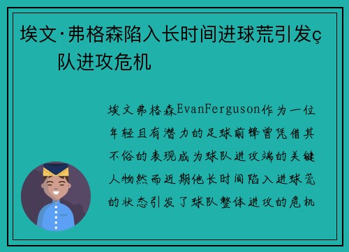 埃文·弗格森陷入长时间进球荒引发球队进攻危机 埃文·弗格森陷入长时间进球荒引发球队进攻危机